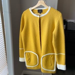 Anthropologies La Fee Verte sweater